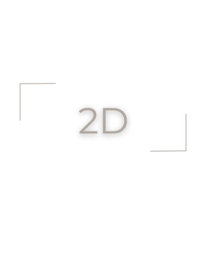 2D